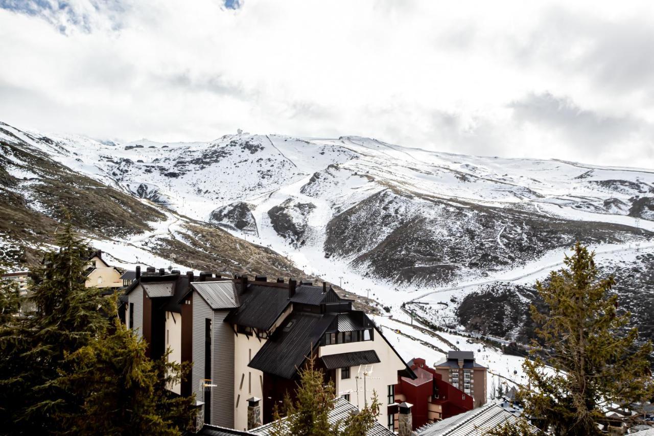 Estudio Queen Sierra Nevada Bagian luar foto